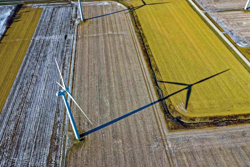 Descarbonização e parcerias entre empresas e ICTs para inovação Vista aérea de turbinas eólicas em campo agrícola com sombras longas projetadas no solo. Foco em energia limpa e sustentável.