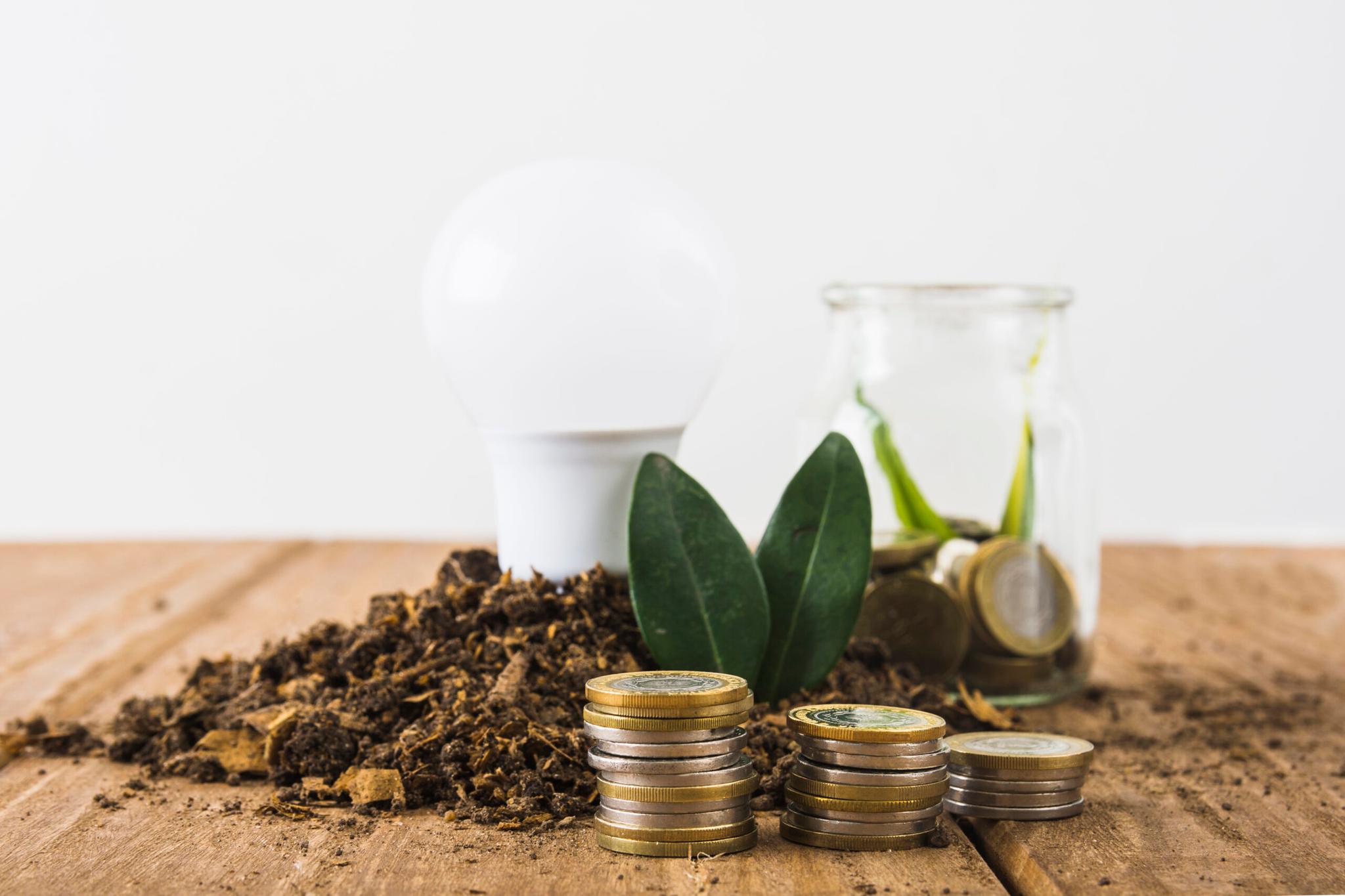 cbios-e-descarbonização Pilhas de moedas sobre bancada de madeira ao lado de terra, folhas verdes, uma lâmpada e pote de vidro.
