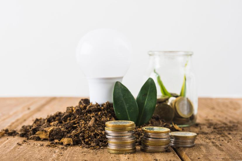 cbios-e-descarbonização Pilhas de moedas sobre bancada de madeira ao lado de terra, folhas verdes, uma lâmpada e pote de vidro.